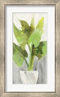 Tropical Planter I Fine Art Print