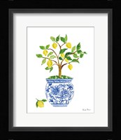 Lemon Chinoiserie I Framed Print