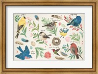 Bird Study I Fine Art Print