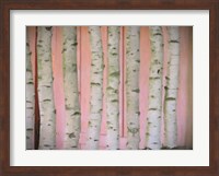 Birch Logs On Pink Fine Art Print