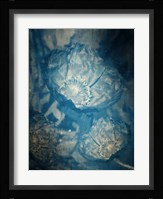 Three Poppies In Blue Fine Art Print