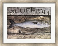 Bluefish Fine Art Print