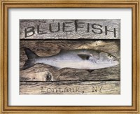 Bluefish Fine Art Print