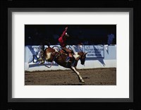 Saddle Bronc Rider Fine Art Print