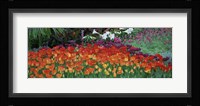 Close-Up Of Flowers In A Garden, Botanical Garden Of Buffalo, New York Fine Art Print