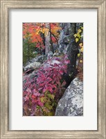 Autumn Color Foliage And Boulders Along Saint Louis River, Minnesota. Fine Art Print