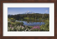 Reflection Of A Mountain And Trees In Water, Mt Rainier National Park, Washington State Fine Art Print