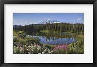 Reflection Of A Mountain And Trees In Water, Mt Rainier National Park, Washington State Fine Art Print
