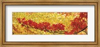 Red And Yellow Autumnal Leaves Fine Art Print