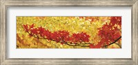 Red And Yellow Autumnal Leaves Fine Art Print