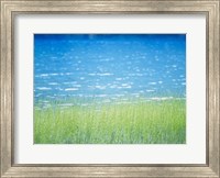 Grass In Water Fine Art Print