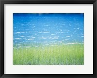 Grass In Water Fine Art Print
