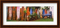 Arranged Surfboards, Maui, Hawaii Fine Art Print