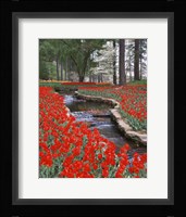 Red Tulips And Brook In Hodges Gardens, Louisiana Fine Art Print