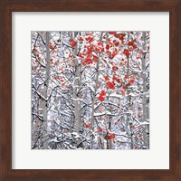 Snow Covered Aspen Trees Fine Art Print