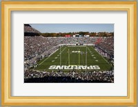 Spartan Stadium, Michigan State University Fine Art Print