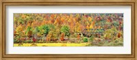 Cantilever Bridge And Autumnal Trees In Forest, Central Bridge, New York State Fine Art Print