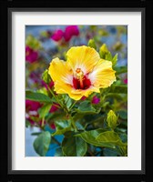 Close-Up Of Hibiscus Flower Fine Art Print