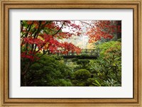 Autumn Leaves On Trees And Footbridge, Japanese Garden Fine Art Print