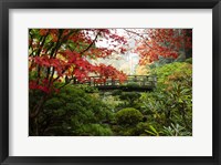 Autumn Leaves On Trees And Footbridge, Japanese Garden Fine Art Print