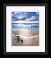 Gift From Sea Fine Art Print