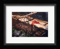 Name Of Love Fine Art Print