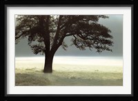 Enlighten Me Fine Art Print