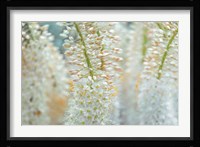 Humbled Fine Art Print