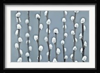 Protected Fine Art Print