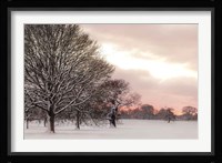 Rosy Sunset Fine Art Print