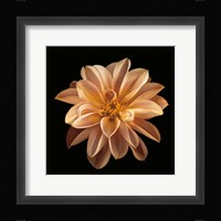 Four Keeps II Fine Art Print