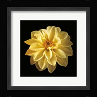 Four Keeps IV Fine Art Print