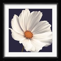 Cosmos I Fine Art Print