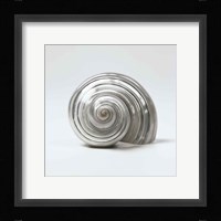 Beachside Treasure II Fine Art Print