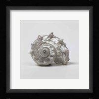 Beachside Treasure III Fine Art Print