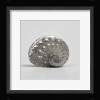 Beachside Treasure IV Fine Art Print