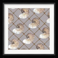 Nautilus Net Fine Art Print