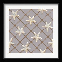 Net Full of Stars Fine Art Print