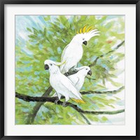 Cockatoos Fine Art Print
