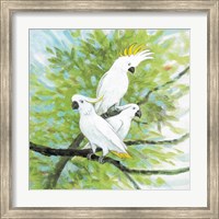 Cockatoos Fine Art Print