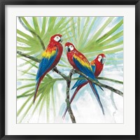 Parrots Fine Art Print