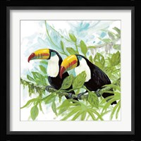 Toucans Fine Art Print