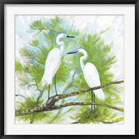 Herons Fine Art Print