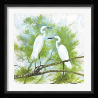 Herons Fine Art Print