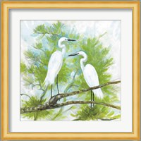 Herons Fine Art Print