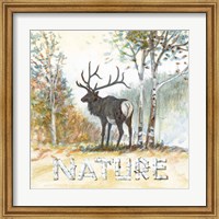 Nature Fine Art Print