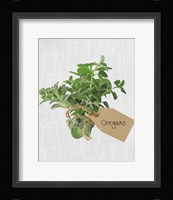 Oregano Fine Art Print