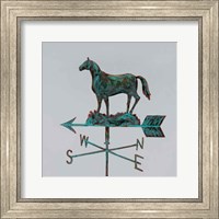 Rural Relic Horse Fine Art Print