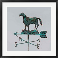 Rural Relic Horse Framed Print
