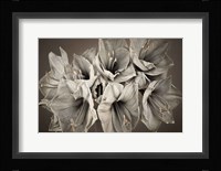 Grand Floral Fine Art Print